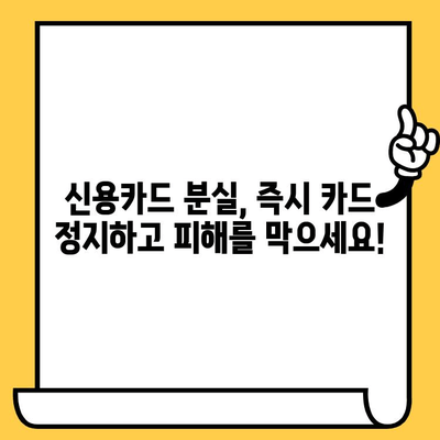 신용카드 분실, 당황하지 마세요! 개인정보 보호 가이드 | 분실 신고, 카드 정지, 개인정보 보호 팁