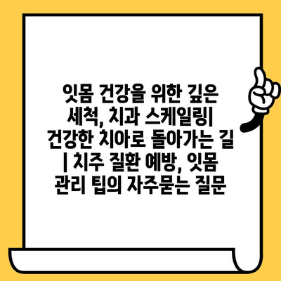 잇몸 건강을 위한 깊은 세척, 치과 스케일링| 건강한 치아로 돌아가는 길 | 치주 질환 예방, 잇몸 관리 팁