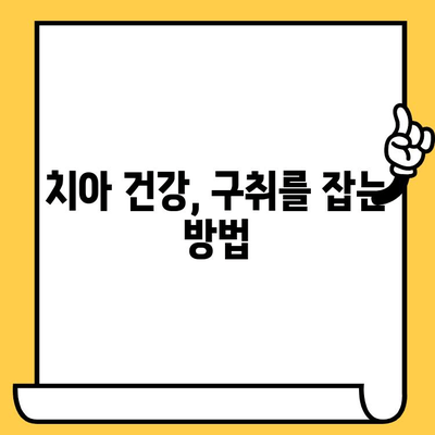 치아 부식의 원인, 치과 악취| 치아 건강 유지 위한 솔루션 | 치아 건강, 구취 제거, 치아 부식 예방