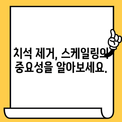 스케일링을 위한 예방적 접근 방식| 건강한 미소와 잇몸 유지하기 | 치주 건강, 치석 제거, 예방 치과