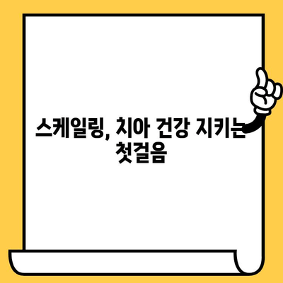 스케일링으로 충치와 잇몸 질환 예방하기| 예방은 치료보다 낫습니다 | 치과, 구강 관리, 건강 팁