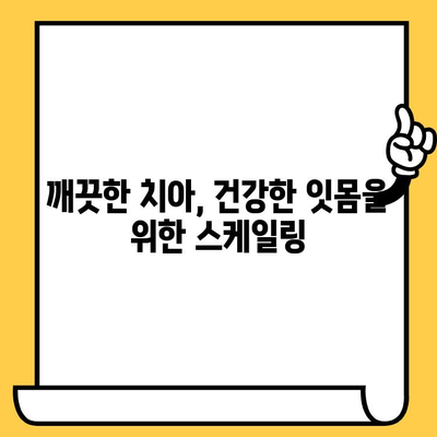 스케일링으로 충치와 잇몸 질환 예방하기| 예방은 치료보다 낫습니다 | 치과, 구강 관리, 건강 팁