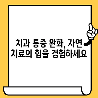 치과 통증 완화를 위한 자연적인 가정 요법| 5가지 효과적인 방법 | 치과 통증, 자연 치료, 가정 요법, 통증 완화