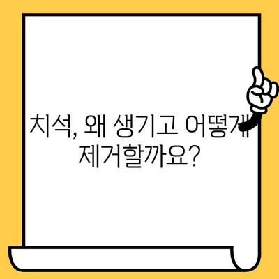 치과 전문가가 알려주는 치석 제거의 모든 것 | 치석 제거 방법, 치석 제거 비용, 치석 제거 주기