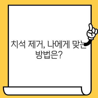 치과 전문가가 알려주는 치석 제거의 모든 것 | 치석 제거 방법, 치석 제거 비용, 치석 제거 주기