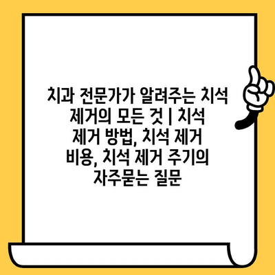 치과 전문가가 알려주는 치석 제거의 모든 것 | 치석 제거 방법, 치석 제거 비용, 치석 제거 주기