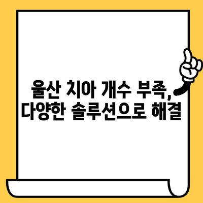 울산 치아 개수 부족? 정확히 확인하는 방법 | 치과, 검진, 진료, 솔루션