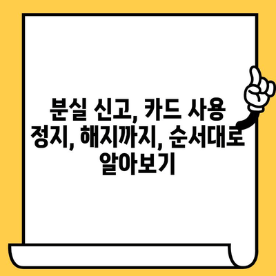 신용카드 분실했을 때? 해지 & 재발급 완벽 가이드 | 카드 분실, 신용카드 해지, 재발급 절차, 카드사별 연락처