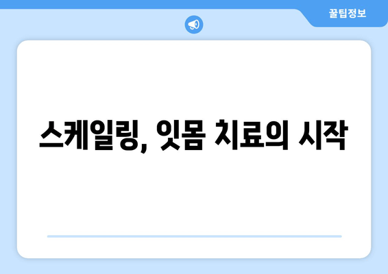 잇몸 건강 지키는 필수템! 스케일링, 왜 꼭 필요할까요? | 잇몸 질환 예방, 치주염, 잇몸 치료, 스케일링 효과