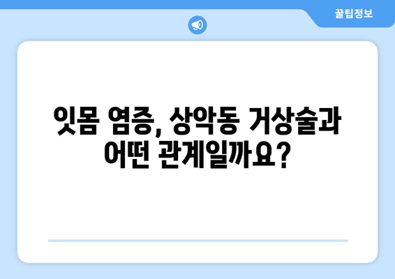 잇몸 염증과 상악동 거상술| 임플란트 성공 위한 잇몸 치료 가이드 | 임플란트, 잇몸 질환, 상악동 거상술, 치료 팁