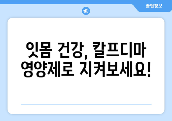 잇몸 건강 지키는 칼프디마 영양제 추천| 5가지 인기 제품 비교분석 | 잇몸 건강, 잇몸 영양제, 칼프디마