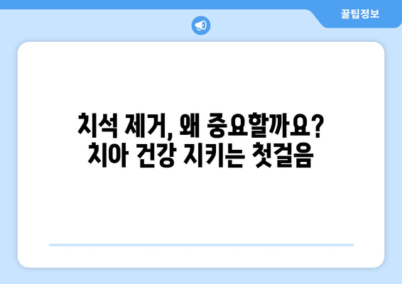 명동 치과 치석 제거| 건강한 치아 유지의 시작 | 스케일링, 치석 관리, 구강 건강