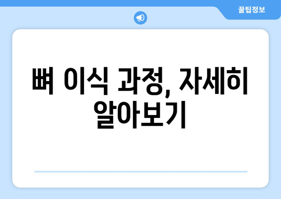 임플란트 뼈 이식 가격| 잇몸 뼈 상태 진단 후 결정 | 비용, 과정, 주의사항