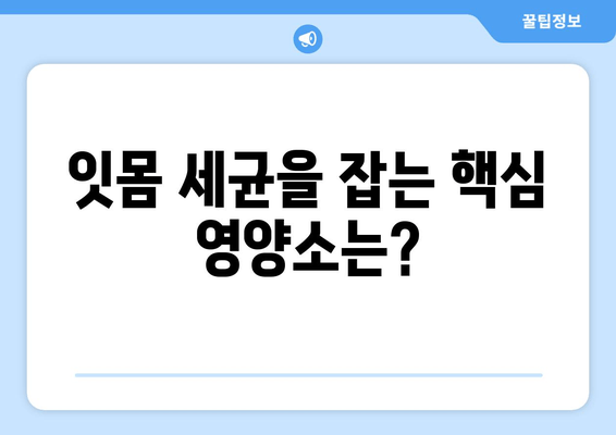 치아 잇몸 치료와 함께! 세균 제거에 도움되는 영양제는? | 치주염, 잇몸 건강, 구강 관리, 추천 영양제