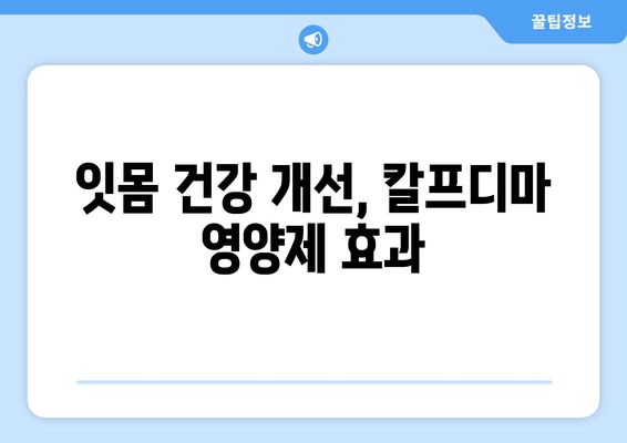 잇몸 건강 지키는 힘! 칼프디마 성분 영양제 추천 | 잇몸 건강, 잇몸 질환 예방, 잇몸 영양제