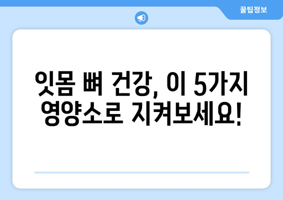 잇몸 뼈 강화 영양제| 치아 건강 지키는 5가지 필수 영양소 | 잇몸 뼈 건강, 치아 건강, 영양제 추천