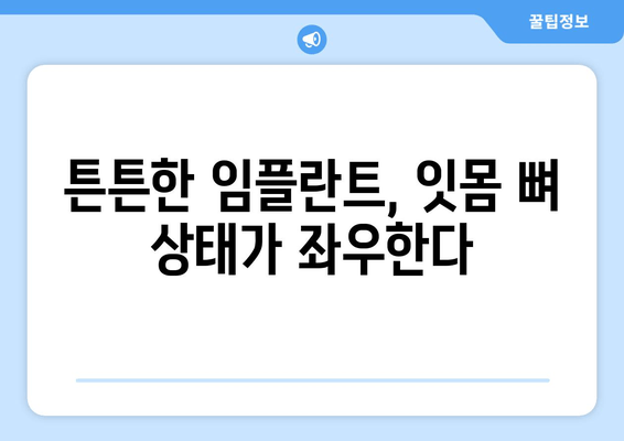 임플란트 성공의 시작, 잇몸 뼈 상태 평가가 중요한 이유 | 임플란트, 잇몸 뼈 검사, 성공률