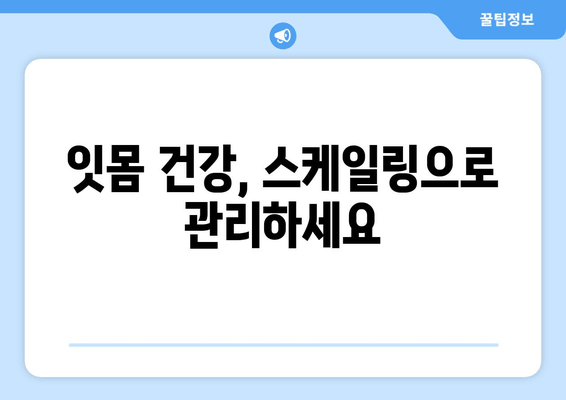 잇몸 건강 회복, 스케일링 치료 단계별 가이드 | 잇몸 질환, 치주염, 치석 제거