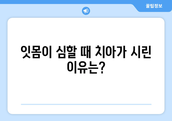 잇몸이 심하면 시림? 원인과 해결책 5가지 | 잇몸 건강, 치아 시림, 잇몸 질환