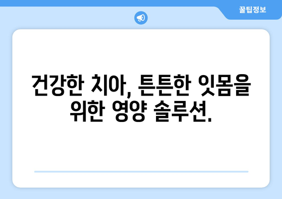 잇몸과 치아 건강의 새로운 지평| 구강 염증 영양제가 열어주는 변화 | 잇몸 건강, 치아 관리, 영양제 추천, 구강 염증, 건강 관리