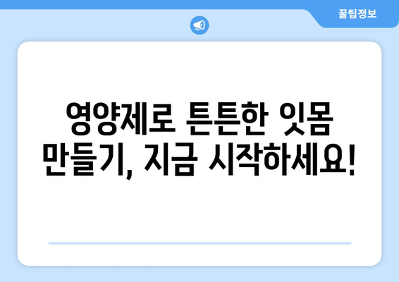 잇몸 내려앉음 예방, 영양제로 시작하세요! | 잇몸 건강, 잇몸 질환, 영양 관리, 건강 정보