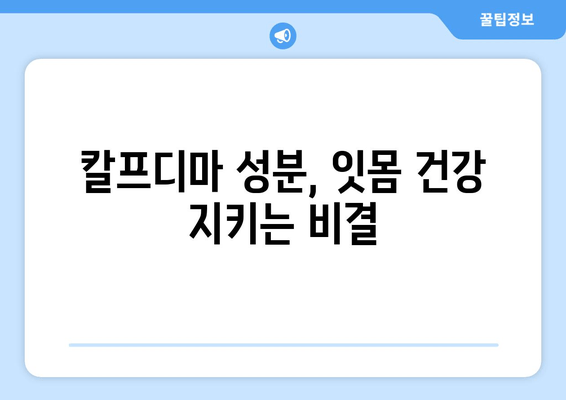 잇몸 내려앉음 영양제| 칼프디마 성분 잇몸 건강 개선 제품 추천 | 잇몸 건강, 잇몸 질환, 잇몸 영양제, 칼프디마