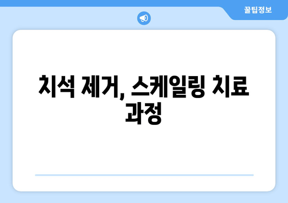 잇몸 건강 회복, 스케일링 치료 단계별 가이드 | 잇몸 질환, 치주염, 치석 제거