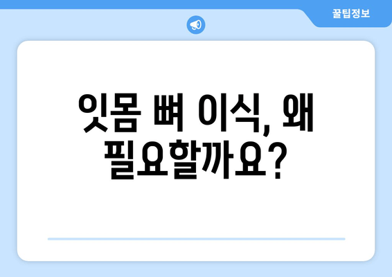 잇몸 뼈 이식 수술, 나에게 맞는 방법은? | 잇몸 뼈 수술 종류, 장단점 비교, 치료 과정