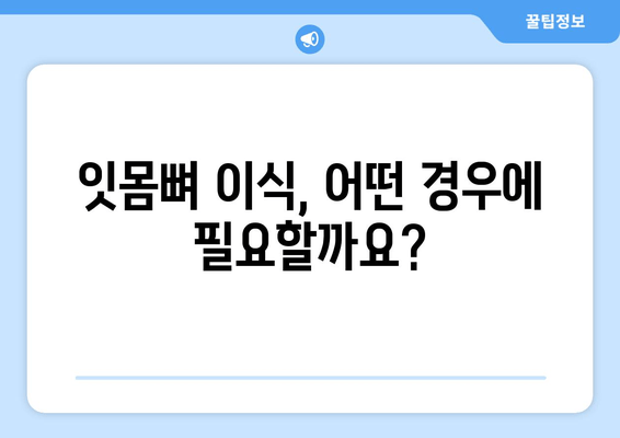 잇몸뼈 손상, 이식으로 건강 되찾는 방법 | 치과, 임플란트, 잇몸뼈 이식