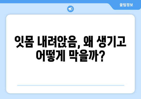 잇몸 내려앉음 예방| 나에게 꼭 맞는 방법 찾기 | 잇몸 건강, 치주 질환, 치과 관리, 예방법, 치료법