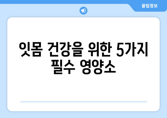 잇몸 건강 지키는 영양제 추천| 5가지 필수 영양소 & 제품 비교 가이드 | 치은염, 잇몸 건강, 영양제