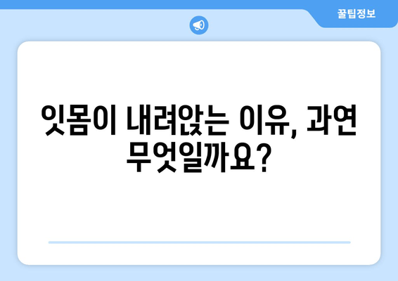 잇몸 내려앉음의 원인| 숨겨진 주범 찾기 | 치주 질환, 잇몸 건강, 치과 치료