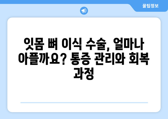 잇몸 뼈 이식 수술, 치조골 상태에 맞는 최적의 방법 찾기 | 잇몸 뼈 이식, 치조골 재건, 임플란트