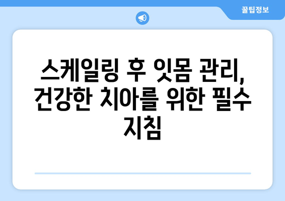 스케일링으로 치은출혈 줄이기| 효과적인 방법과 주의사항 | 치주질환, 잇몸 관리, 구강 건강