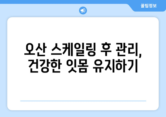 오산 스케일링으로 건강한 잇몸 되찾기| 잇몸 질환 예방 및 치료 가이드 | 오산 치과, 잇몸 건강, 스케일링 비용