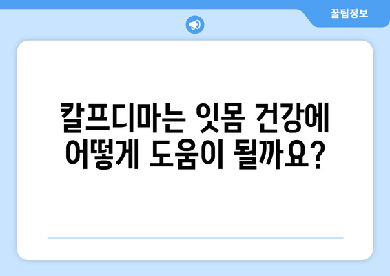 잇몸 건강 지키는 칼프디마 성분 영양제 추천 | 잇몸 건강, 잇몸 영양제, 칼프디마, 추천