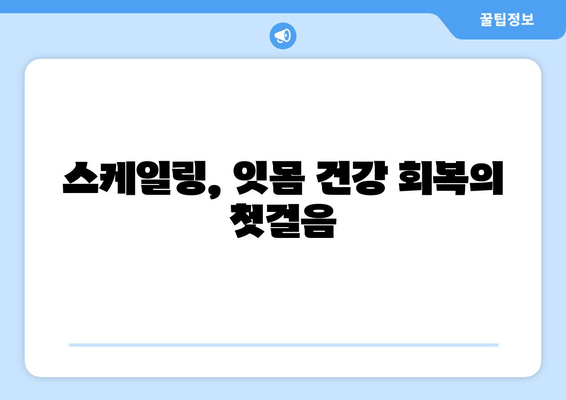 잇몸 건강 회복, 스케일링 치료 단계별 가이드 | 잇몸 질환, 치주염, 치석 제거