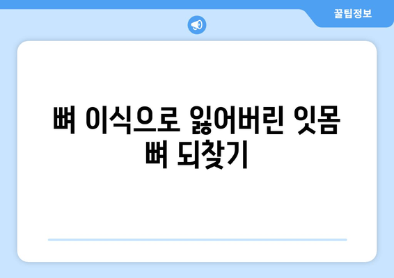 임플란트 뼈 이식, 잇몸 뼈 건강의 필수 조건 | 임플란트 성공, 뼈 이식의 중요성, 잇몸 뼈 재건