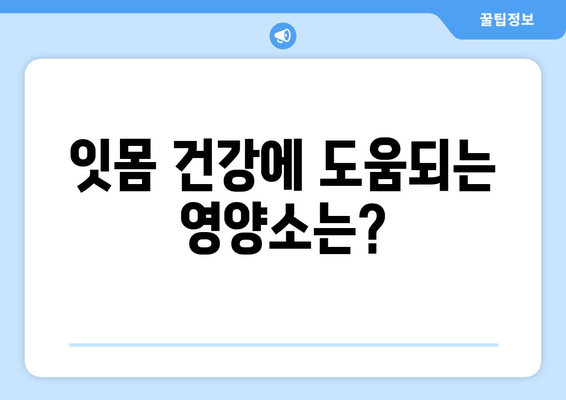 잇몸 건강 지키는 영양제 선택 가이드 | 치아 건강, 잇몸 영양제 추천, 잇몸 관리 팁