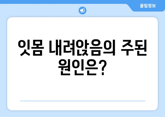 잇몸 내려앉음, 시림의 이유| 원인과 해결책 | 치주 질환, 잇몸 건강, 치아 시림