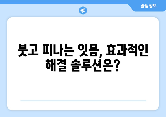 잇몸 부기와 출혈, 이제 걱정하지 마세요! | 원인 분석 & 해결 솔루션 & 예방 가이드