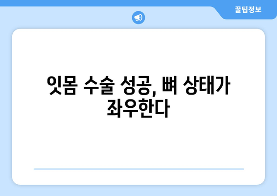 잇몸 수술 성공의 시작, 뼈 상태 평가가 중요한 이유 | 잇몸 수술, 뼈 이식, 임플란트, 치주 질환