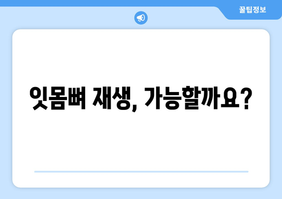 잇몸 뼈 손상 후회는 이제 그만! | 잇몸 뼈 재생, 치료, 예방 가이드