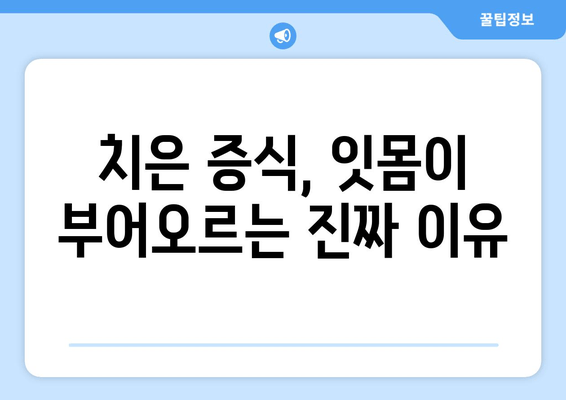 치은 증식, 미신과 오해를 벗겨내다| 정확한 정보와 관리법 | 치은 증식, 잇몸 증식, 치주 질환, 치과 상담