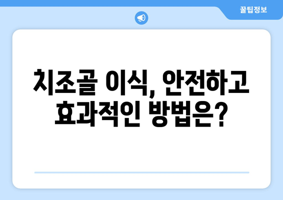 잇몸뼈 이식 방법| 치조골 상태에 맞는 최적의 선택 | 치조골 이식, 잇몸뼈 재건, 임플란트