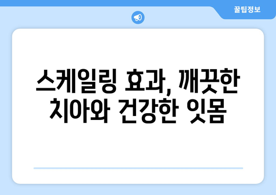 잇몸 건강 지키는 필수템! 스케일링, 왜 꼭 필요할까요? | 잇몸 질환 예방, 치주염, 잇몸 치료, 스케일링 효과