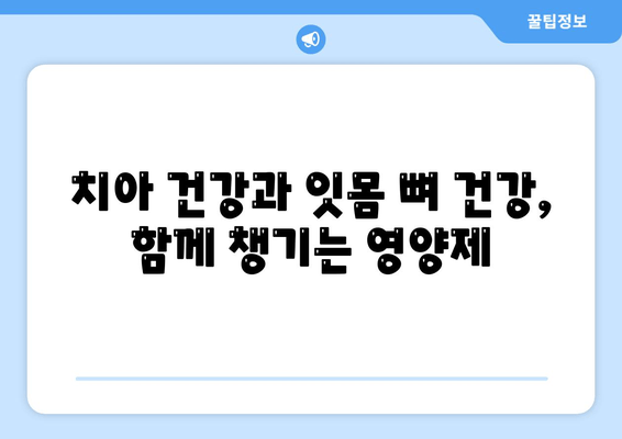 잇몸 뼈 건강 지키는 영양제 가이드 | 치아 건강, 잇몸 뼈 영양제, 뼈 건강, 건강 관리