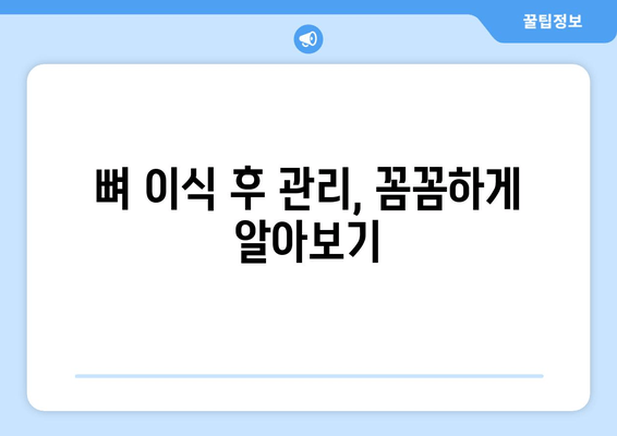 잇몸 뼈 부족, 임플란트 뼈 이식은 필수! 가격 정보와 함께 알아보세요 | 임플란트, 뼈 이식, 가격, 잇몸 뼈 부족