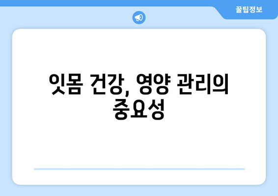 잇몸 내려앉음, 영양제로 극복할 수 있을까요? | 잇몸 건강, 치주 질환, 영양 관리, 섬세한 관리