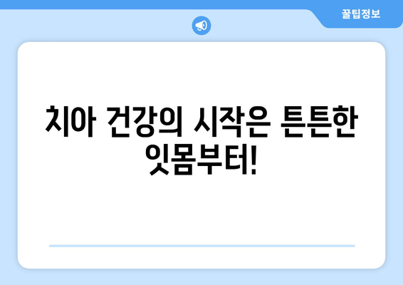 잇몸 뼈 강화 영양제| 치아 건강 지키는 5가지 필수 영양소 | 잇몸 뼈 건강, 치아 건강, 영양제 추천